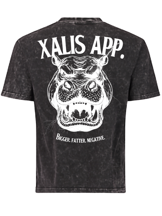 Bigger. HTV Heavyweight Shirt